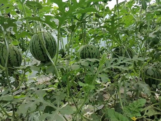 51吃瓜网今日吃瓜,今日热点事件大盘点，吃瓜群众速来围观！