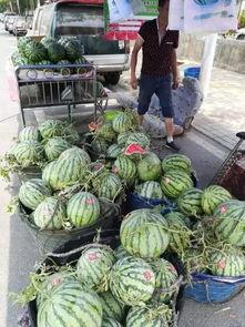 大连网红吃瓜事件