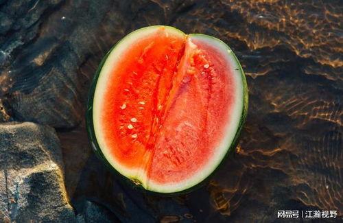 朝阳人自己的吃瓜网,揭秘京城热点，畅享八卦盛宴