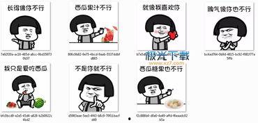 吃瓜网图表情包下载,轻松获取热门搞笑表情，让你的聊天更生动有趣！