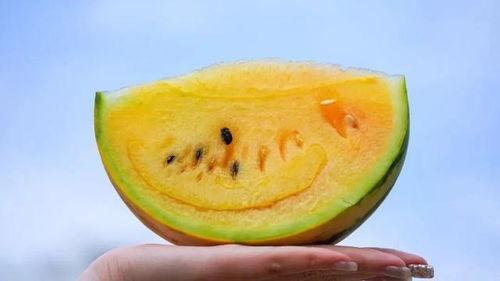 云南网红吃瓜视频,揭秘当地美食与风土人情