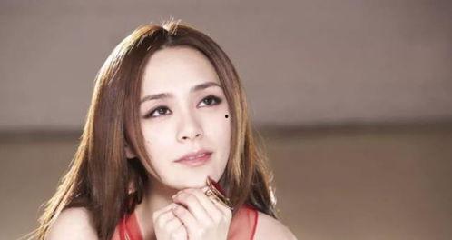 网红爆明星吃瓜事件