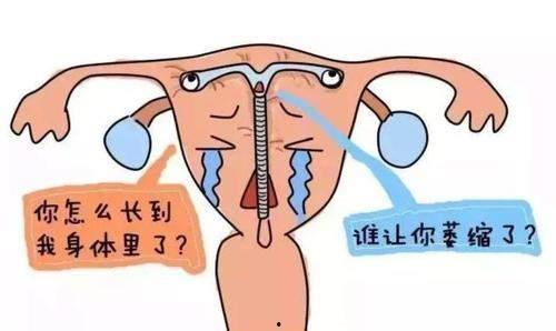 吃瓜网所推荐的避孕方法,热门避孕方法大盘点，安全避孕你选对了吗？