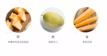 网购吃瓜套装,轻松解锁夏日消暑新姿势！