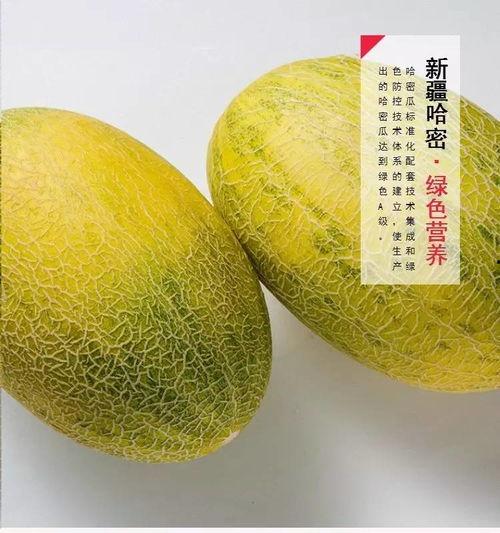 网购吃瓜套装,轻松解锁夏日消暑新姿势！