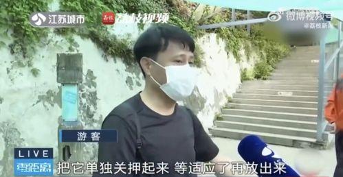 离谱吃瓜网红是谁,揭秘网络红人的神秘面纱