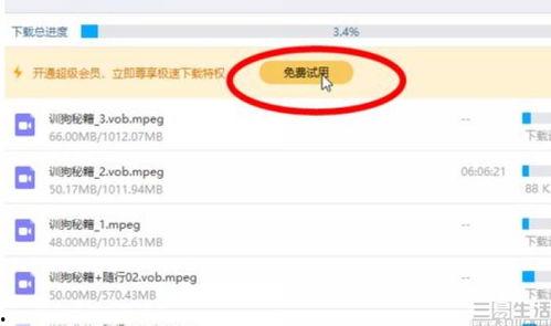 行健吃瓜视频网盘资源