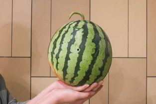 5杀吃瓜网,网络舆论场中的风云变幻