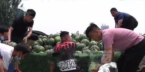 礼县网红吃瓜事件始末视频,一场网络狂欢背后的真相与反思