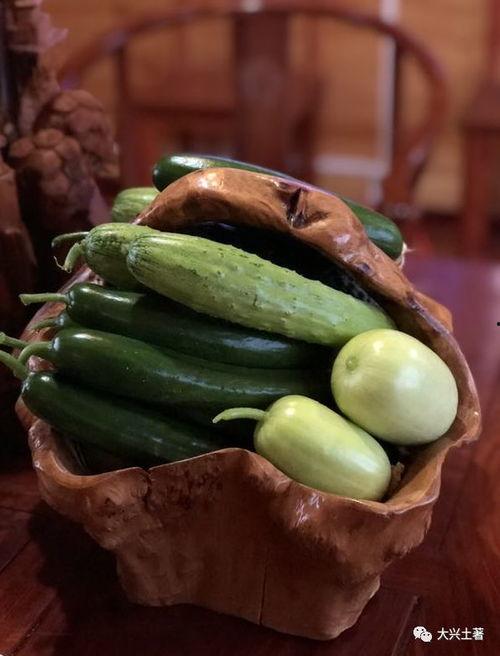 吃网红的瓜犯法吗