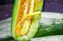 盐城网红吃瓜群众是谁,揭秘盐城网红“吃瓜群众”背后的故事