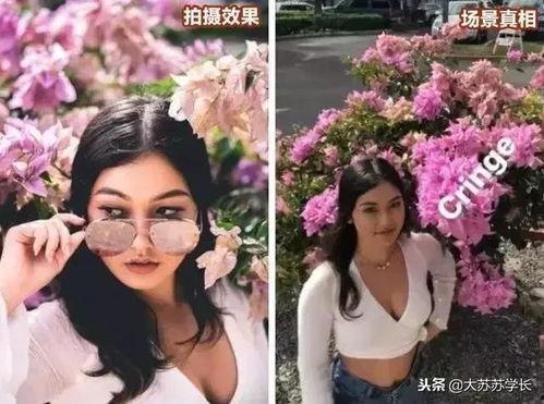 吃瓜网红拍照图片大全集,捕捉镜头下的趣味瞬间