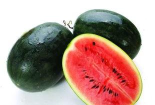 黑网吃瓜料网全网