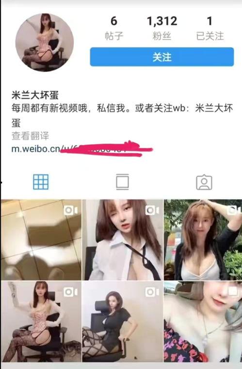 知名网红吃瓜事件视频大全