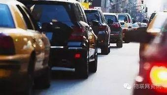 上海网约车吃瓜事件视频