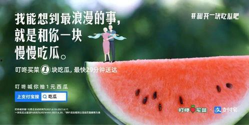 福利吃瓜官网,揭秘热门福利，畅享娱乐盛宴