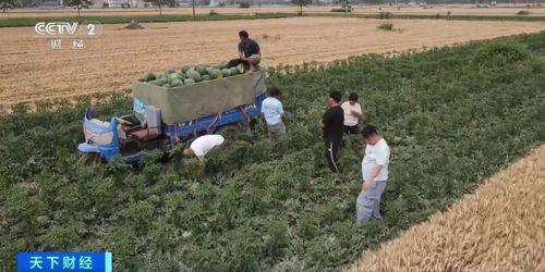 吃瓜网潍坊村干部