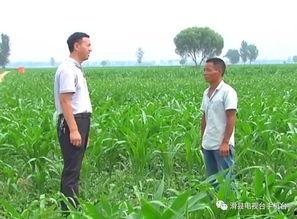 吃瓜网潍坊村干部