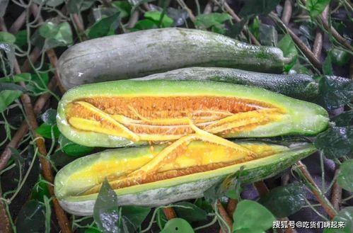 陇南网红掰开吃瓜