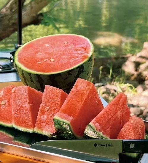 吃瓜食品网站官网,一站式美食探索之旅