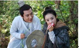 乌龙院明星网红吃瓜群,揭秘娱乐圈幕后故事