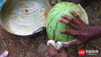 网红农村吃自己瓜,网红农村自食其瓜，体验田园生活魅力