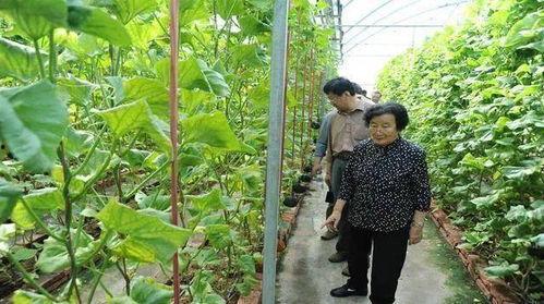 八十多万网红吃瓜是真的吗,八十多万网红吃瓜事件真相揭晓