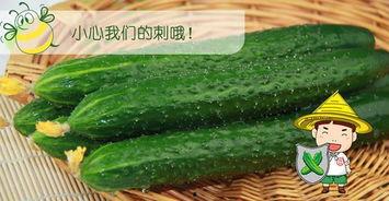 吃瓜网最好看的瓜,年度最佳瓜盘点，精彩纷呈不容错过！