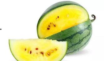 吃瓜网最好看的瓜,年度最佳瓜盘点，精彩纷呈不容错过！