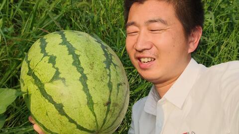 云南网红小伙吃瓜视频,一场接地气的美食盛宴