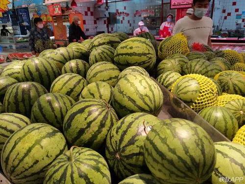 韩城市网红吃瓜