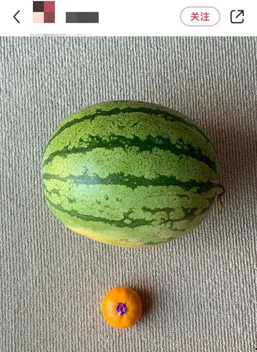 暗黑吃瓜全球官网入口,探索神秘娱乐世界的入口门户