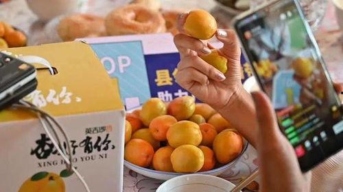 新疆网红吃瓜事件真相
